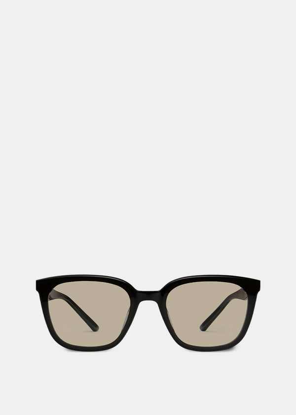 GENTLE MONSTER Pino 01(BR) Sunglasses