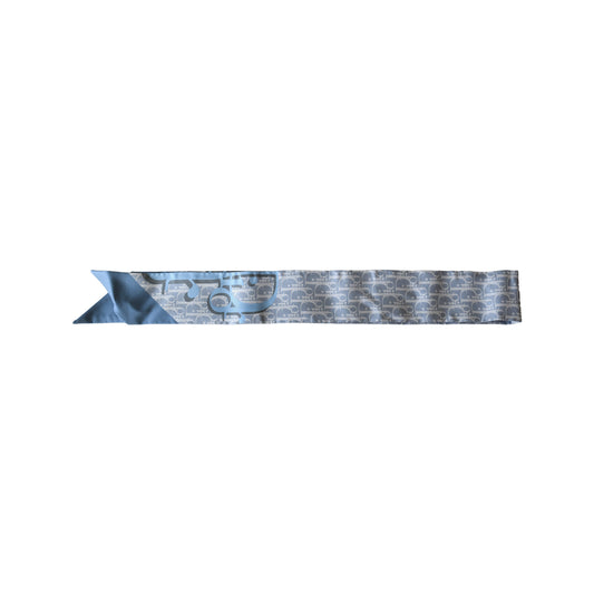 Dior Oblique Diortwin Mitzah Twilly Scarf Blue