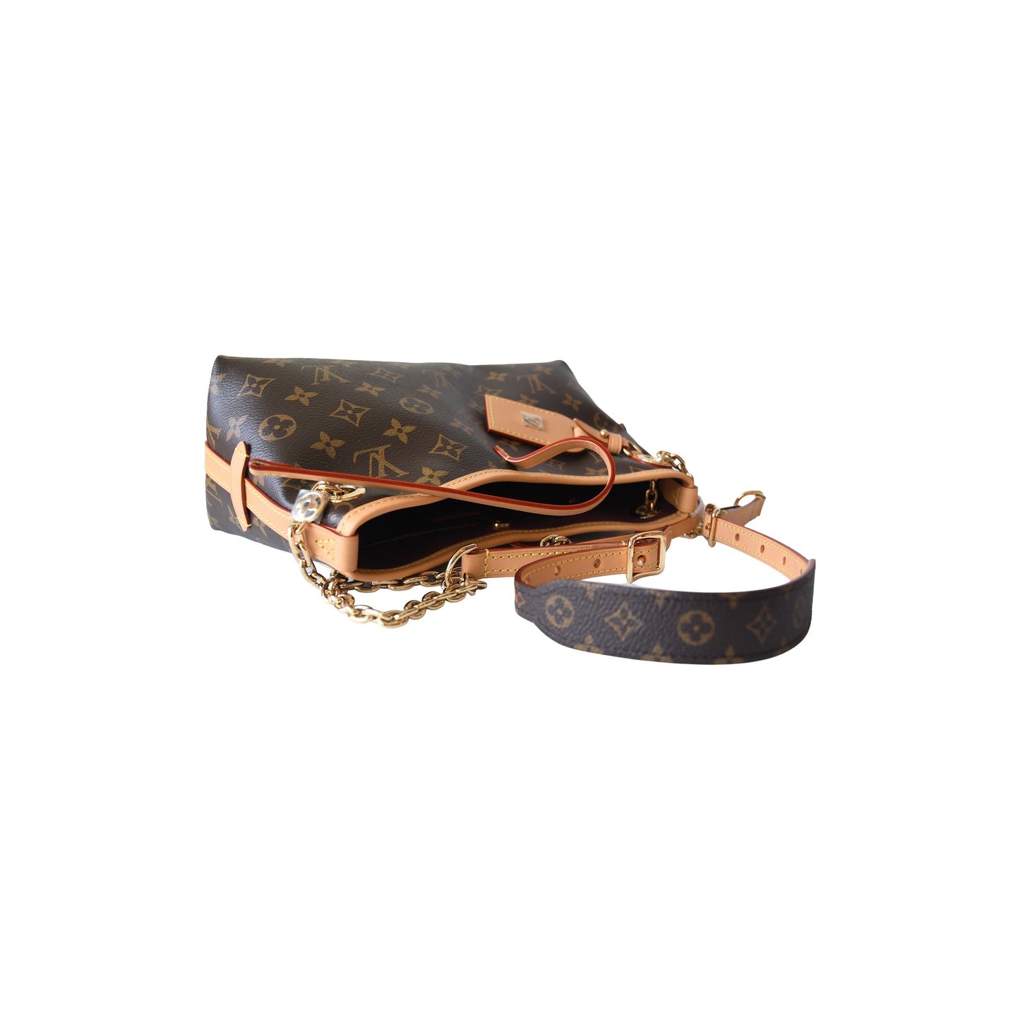 Louis Vuitton CarryAll BB Gold Hardware Monogram