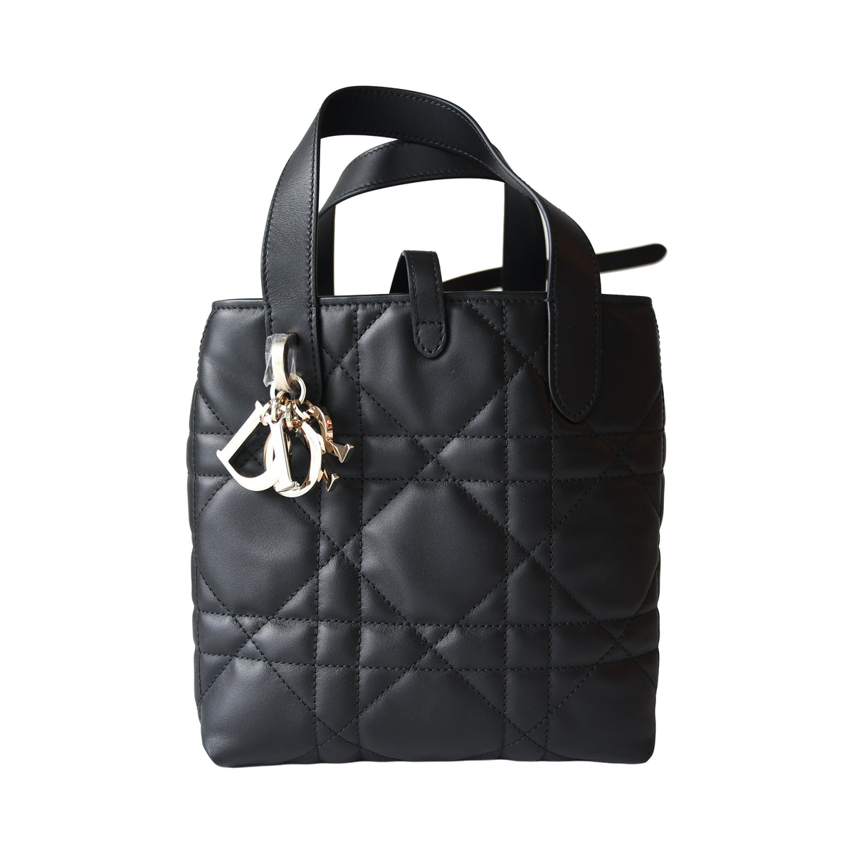 Dior Small Toujours Vertical Tote Bag  Black