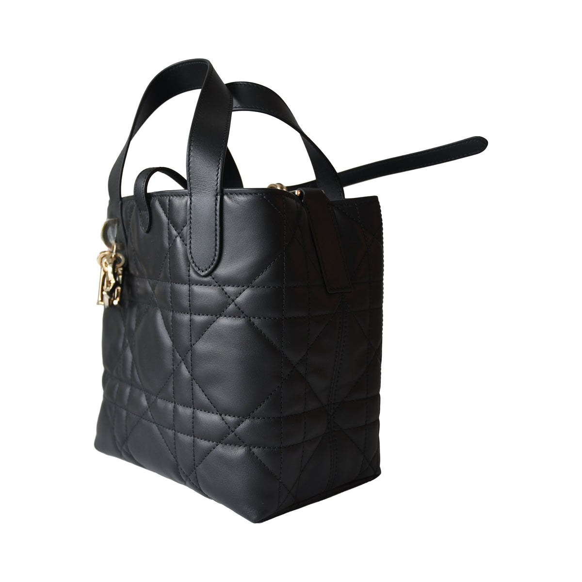 Dior Small Toujours Vertical Tote Bag  Black