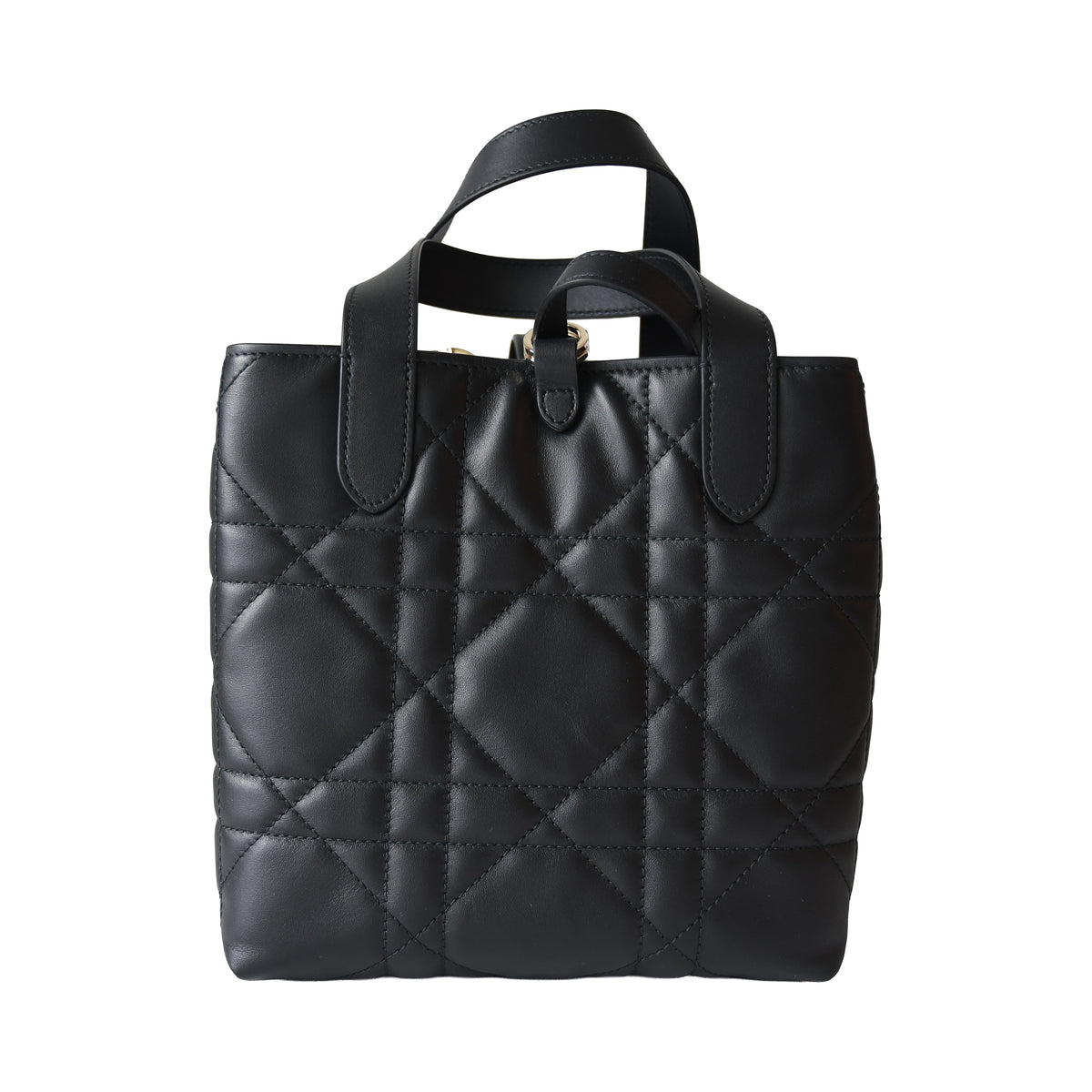 Dior Small Toujours Vertical Tote Bag  Black